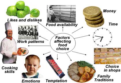 Factors affecting food choices