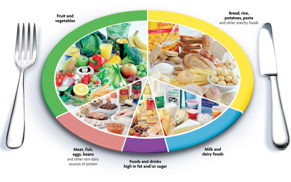 Eat Well Food Groups Plate